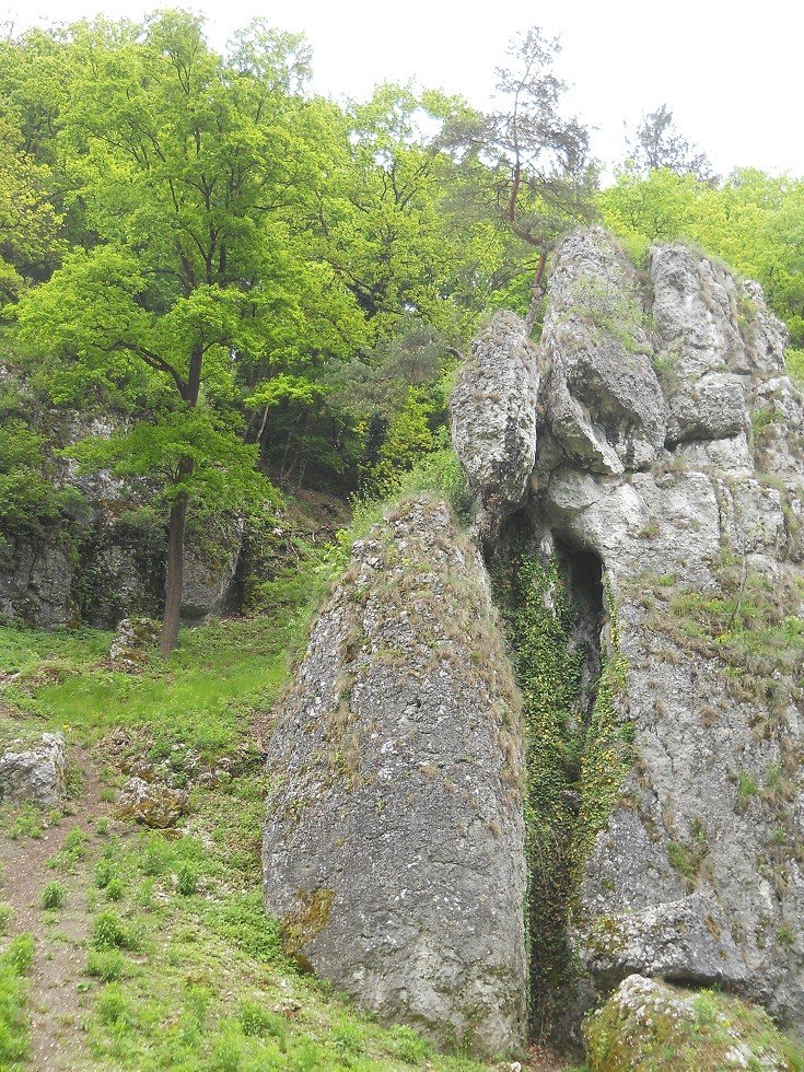 Podróże, Dolina Mnikowska, wycieczka spacerowo - wyczynowa:) - .