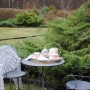 Pozostałe, Poświąteczna niedziela w ogrodzie :) - Herbatka w ogrodzie 27 grudnia ??? czemu nie :) ...przy temp.+15 było miło :)