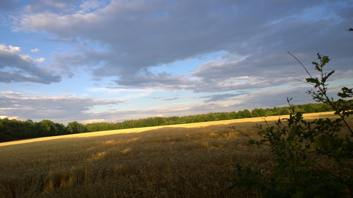 Pozostałe, wakacje, wakacje ........... - cudnie jest na rowerach poznawać okolicę