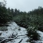 Leśne klimaty, CZAS PRZYGOTOWAŃ...