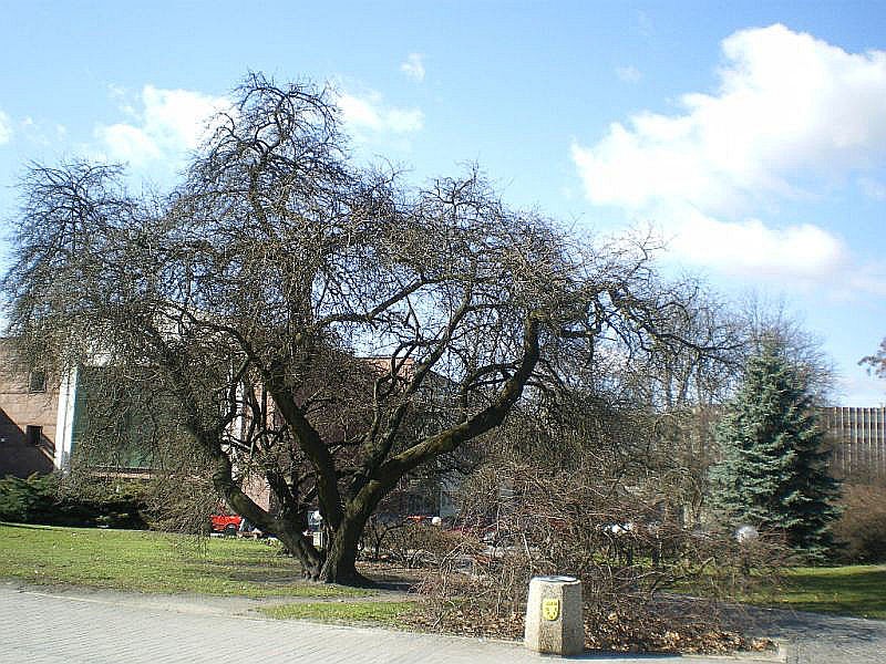 Pozostałe, Czekając na wiosnę