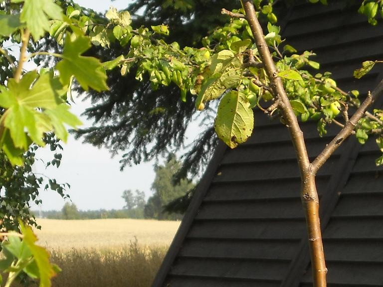 Pozostałe, Wiejskie klimaty czyli weekend na wsi...........