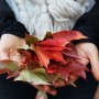 Ogród, Jesienne klimaty - Uwielbiam tę porę roku!