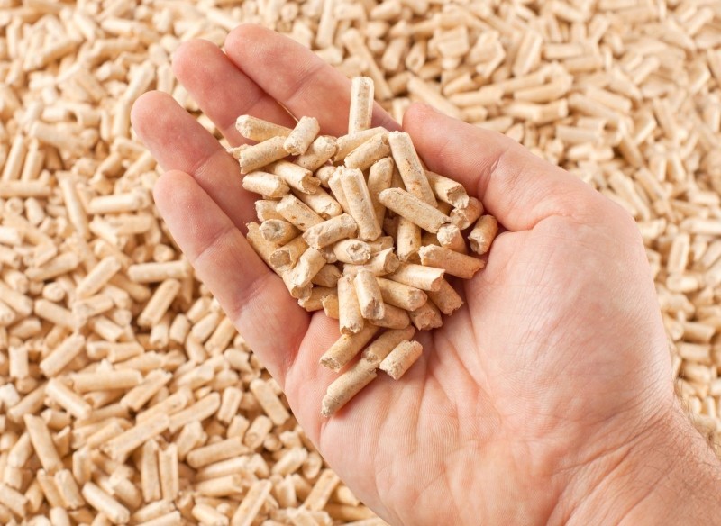 jak rozpoznać dobry pellet
