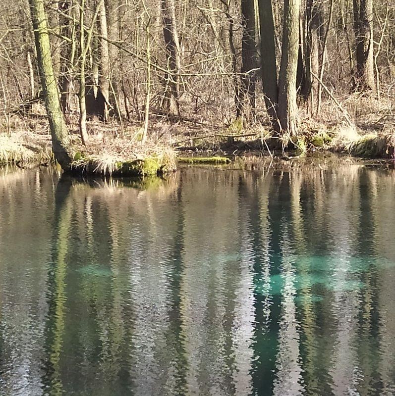 Leśne klimaty, Rezerwat Niebieskie Źródła