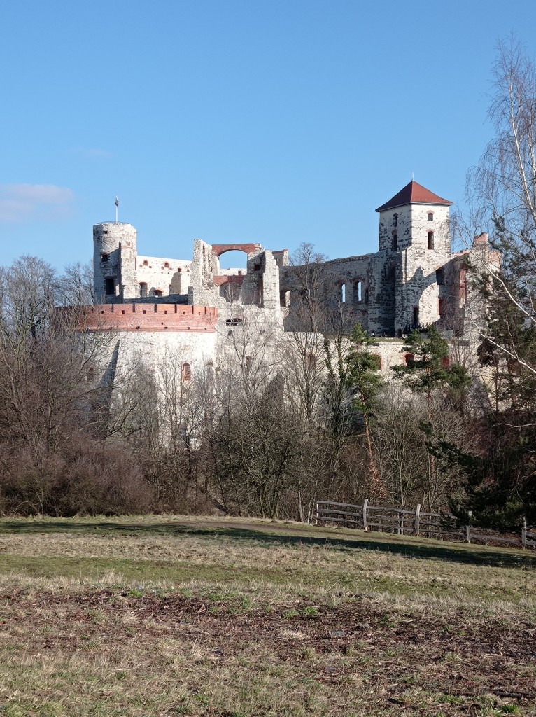 Podróże, Zamek Tenczyn