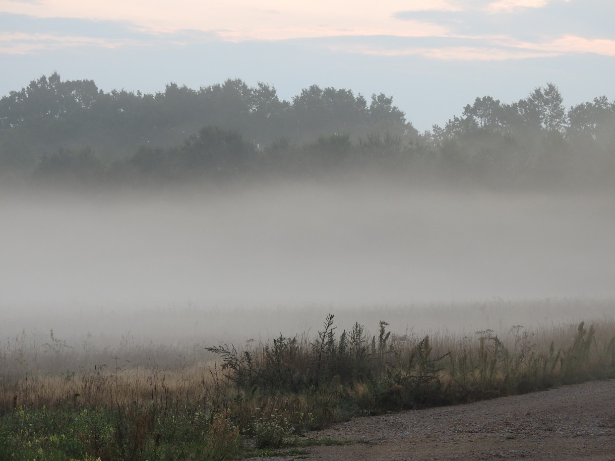 Leśne klimaty, WRZEŚNIOWY PORANEK :)