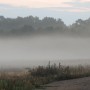 Leśne klimaty, WRZEŚNIOWY PORANEK :)