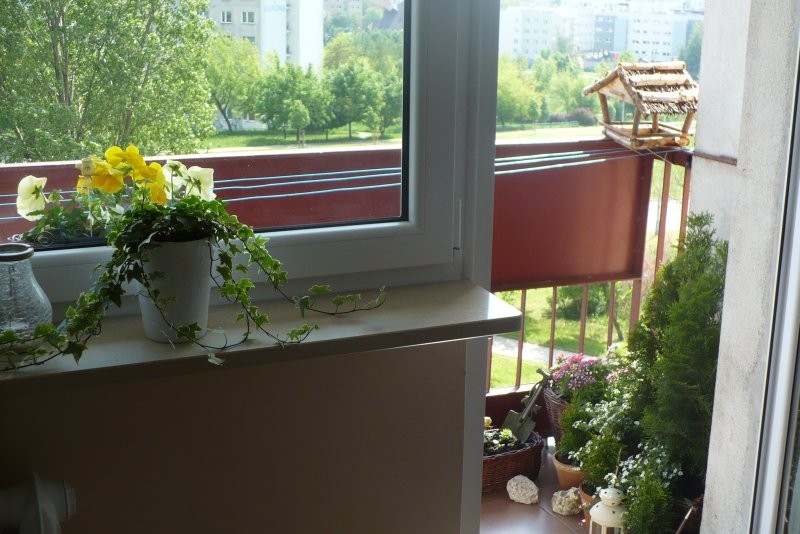 Pozostałe, Balkon 2010