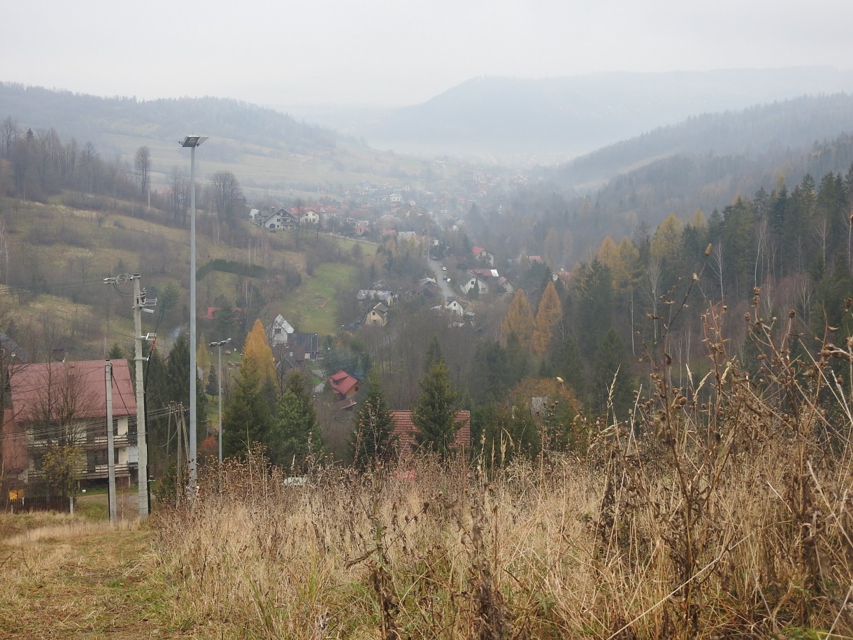 Leśne klimaty, GRUDNIOWY CZAS