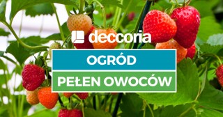 Ogród pełen owoców