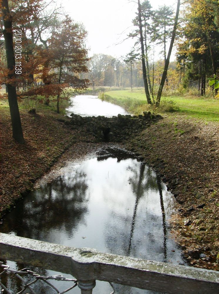 Pozostałe, PARK w ŚWIERKLAŃCU - Rozległe jeziorko ...