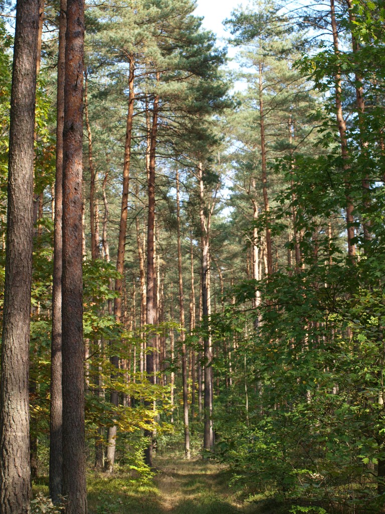 Podróże, wrześniowo i październikowo