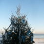 Dekoracje, Święta , święta , święta .............. - ......................pozdrowienia dziś słoneczne znad morza ślę :)
