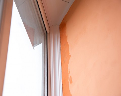 Nie potrzebujesz mocnych środków, żeby pozbyć się pleśni ze ścian. Zastosuj patent malarzy