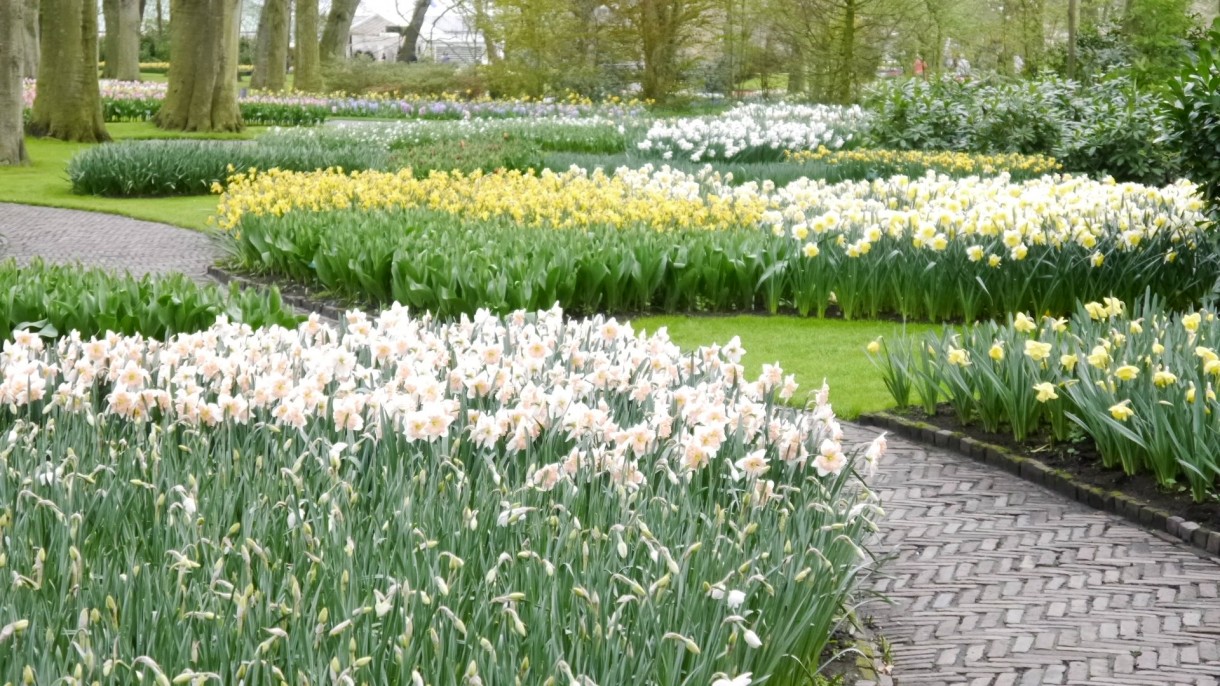 Pozostałe, Keukenhof