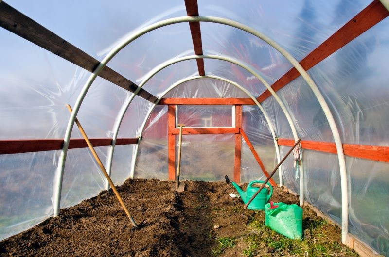 Przed uprawą pomidorów musimy zadbać o glebę w szklarni.