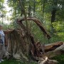 Podróże, WOKÓŁ RUIN ZAMKU CHUDÓW