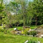 Ogród, Wiosna w ogrodzie "Wyjatkowego domu"