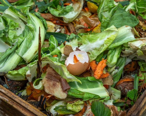 Co zrobić z kompostownikiem przed zimą? Formowanie i przykrywanie pryzmy