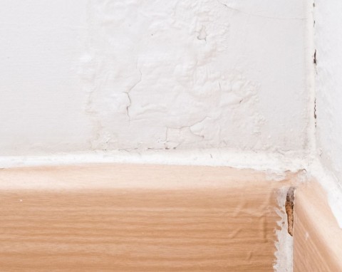 Nie potrzebujesz chlorowych środków, żeby pozbyć się pleśni ze ścian. Zastosuj patent malarzy