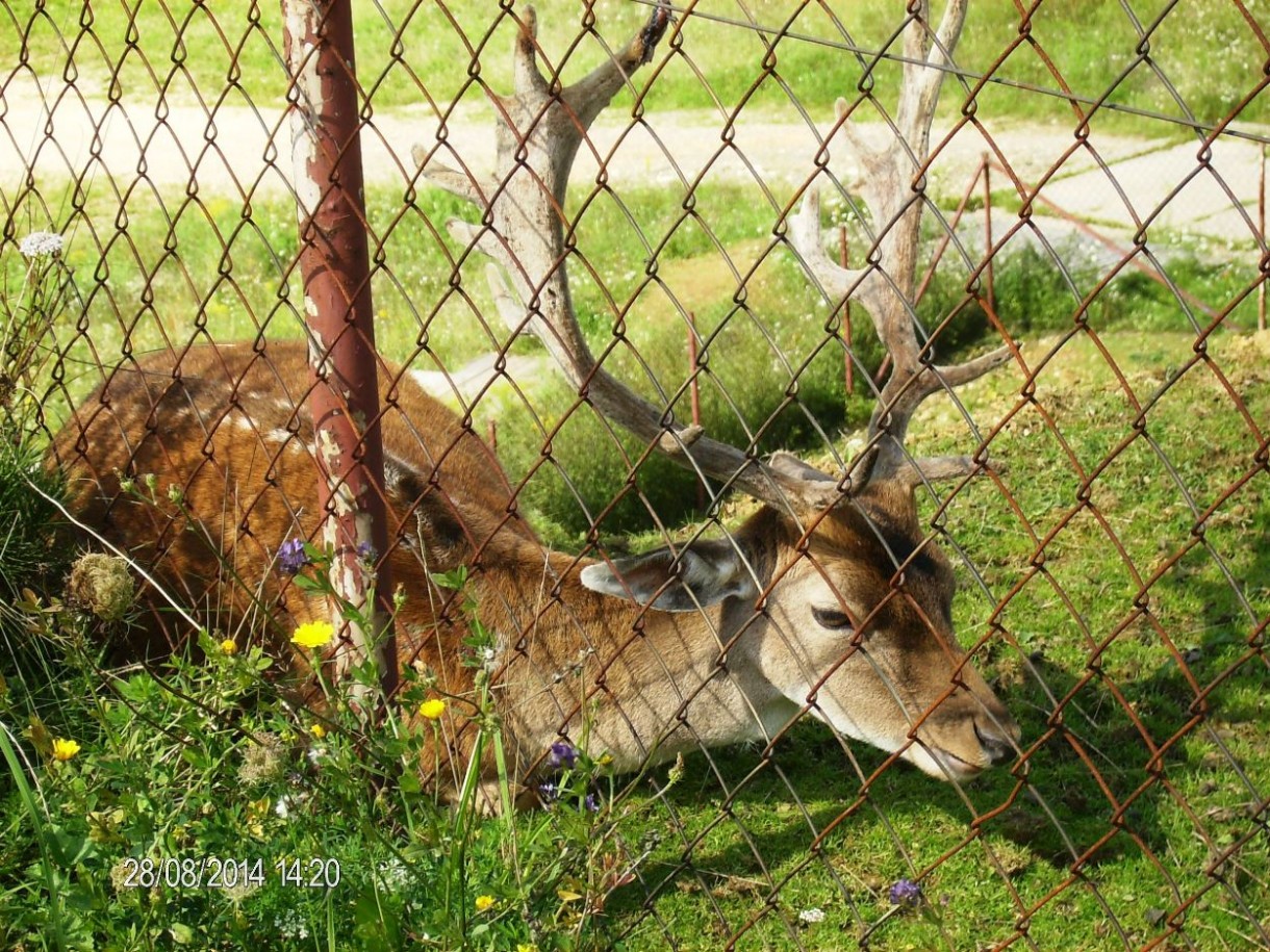 Pozostałe, DOLOMITY - SPORTOWA  DOLINA  LATEM  – BYTOM - MINI  ZOO