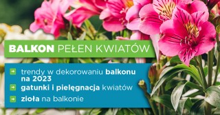 Balkon pełen kwiatów