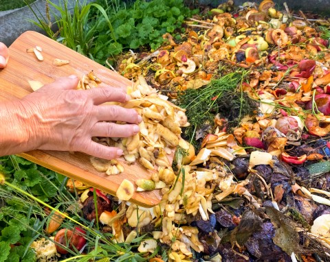 Znakomity patent na przyspieszenie kompostowania bez drogich dodatków. Potrzebny jest tylko produkt z lodówki