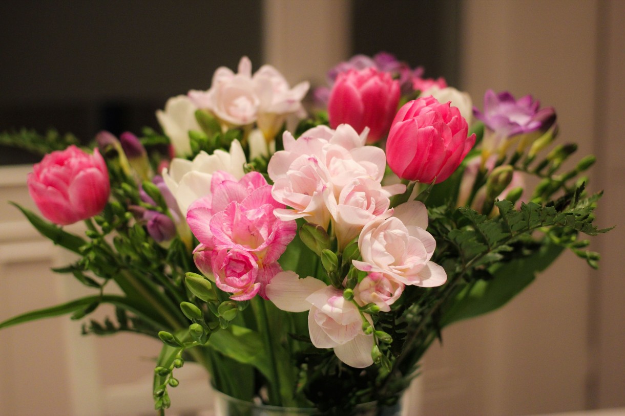 Rośliny, Znaczenie kwiatów - Frezja oznacza zaufanie, troskliwość i przyjaźń. Z ich pomocą można wyrazić szacunek, uznanie i radość z przebywania z daną osobą. Bukiet frezji może również oznaczać.. zaproszenie do filtru!

Fot. Pixabay
