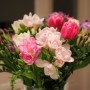 Rośliny, Znaczenie kwiatów - Frezja oznacza zaufanie, troskliwość i przyjaźń. Z ich pomocą można wyrazić szacunek, uznanie i radość z przebywania z daną osobą. Bukiet frezji może również oznaczać.. zaproszenie do filtru!

Fot. Pixabay