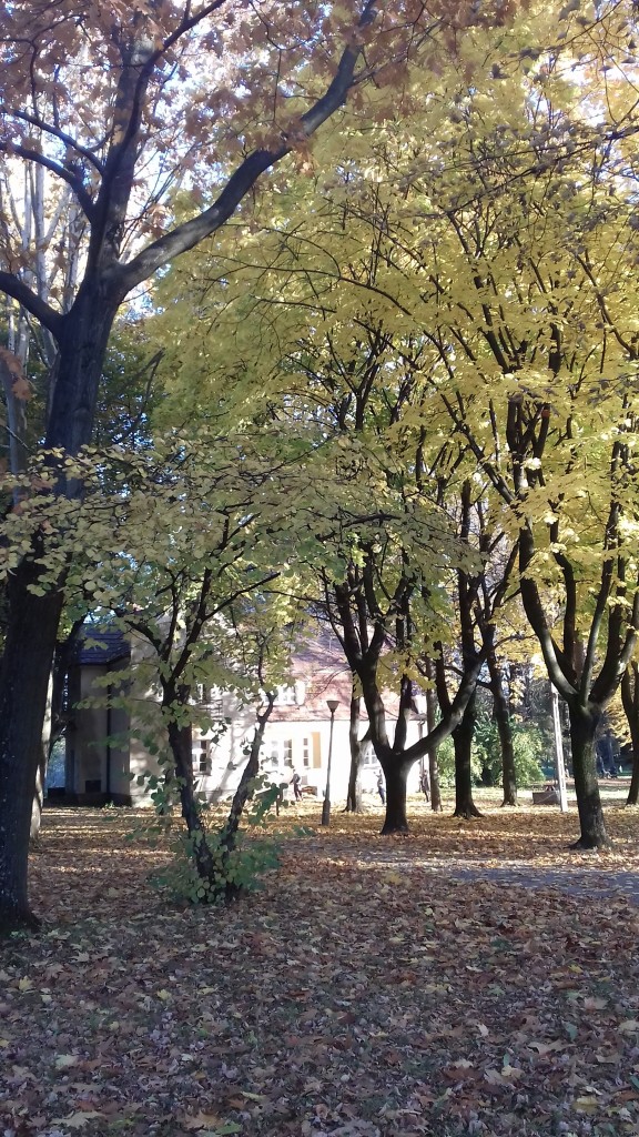 Leśne klimaty, Park jesienią