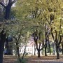 Leśne klimaty, Park jesienią