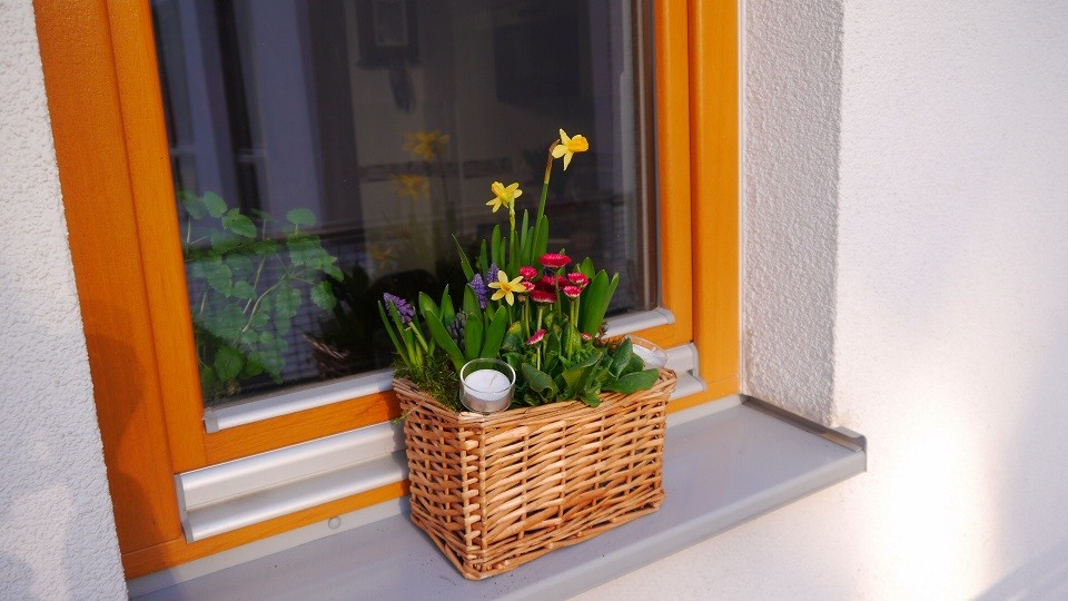 Pozostałe, "Pierwsze oznaki wiosny" - Na oknie kuchennym zamiast ziół bo na nie jeszcze za zimno...