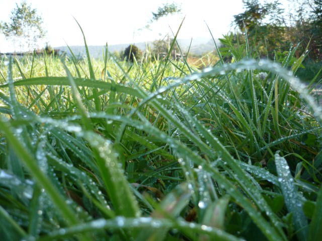 Pozostałe, Natura