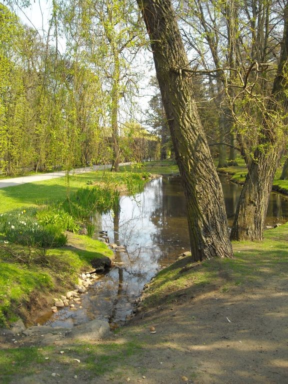 Pozostałe, Park Oliwski...........................