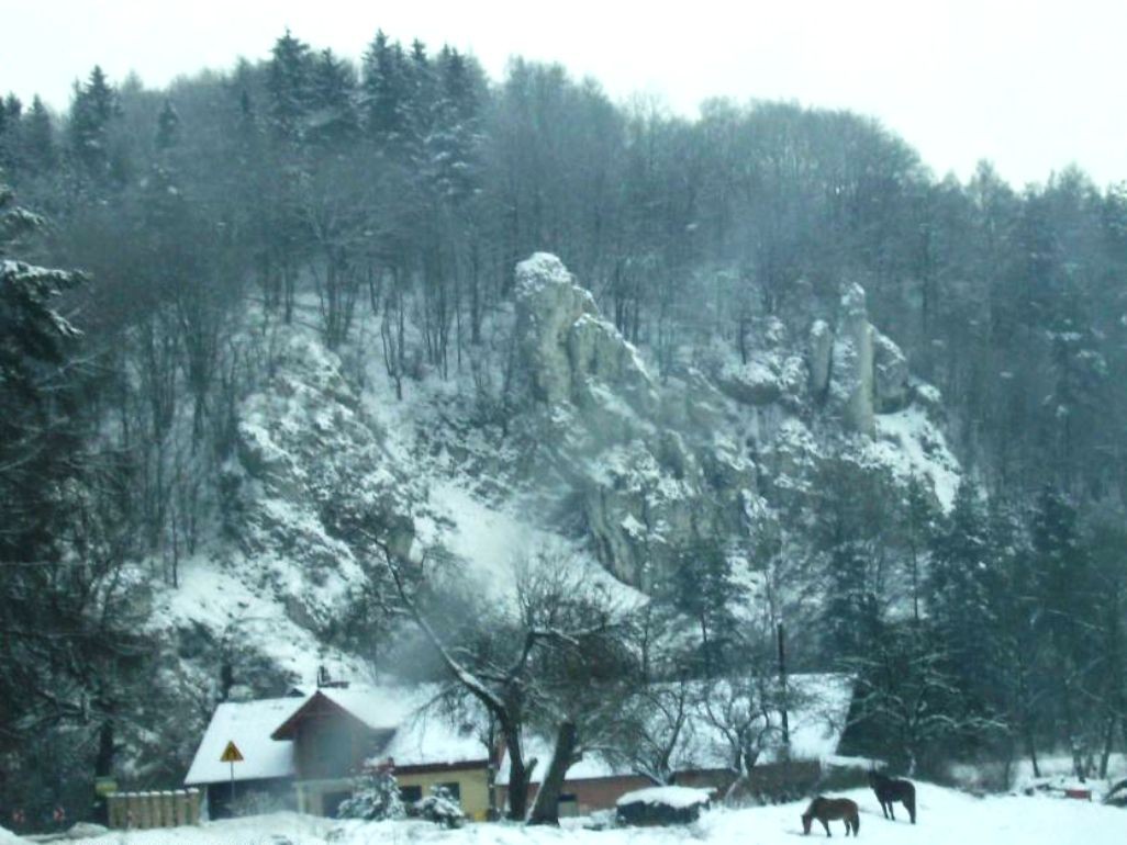 Pozostałe, PRZEZ  OJCOWSKI  PARK  NARODOWY