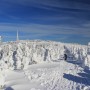 Leśne klimaty, Na odchodne....Zimy....