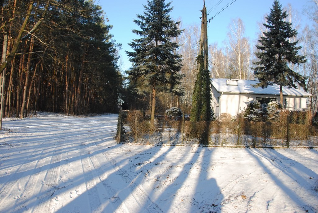 Pozostałe, Poświąteczne leniuchowanie :) - Jest pięknie ,więc pora na świąteczny spacer :)