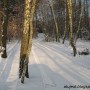 Leśne klimaty, Ogród w leśnym zaciszu - 3 część - Wjazd na działkę zimą.