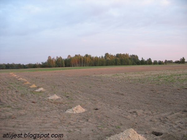 Leśne klimaty, Jak zmieniał się nasz ogród - Kolejne dołki