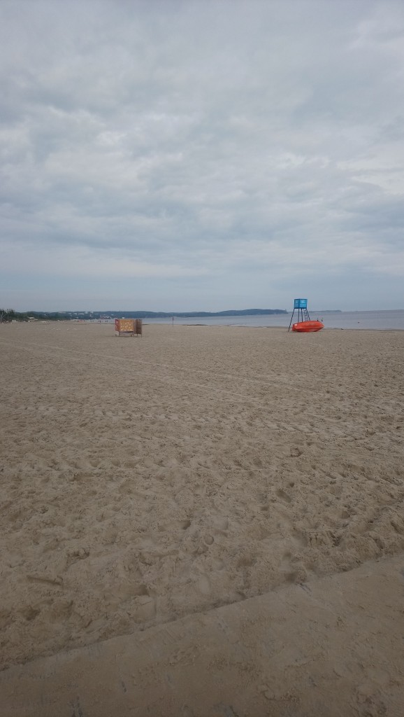 Rośliny, Wrześniowa .........jeszcze letnia galeria..... - ..................i prawie pusta plaża...............