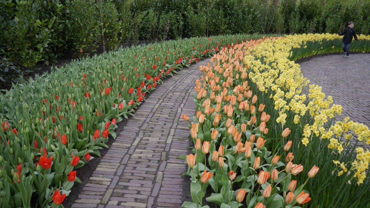 Pozostałe, Keukenhof