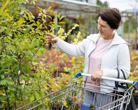 Co kupić ogrodnikowi? Praktyczne i oryginalne prezenty pod choinkę dla miłośnika ogrodu