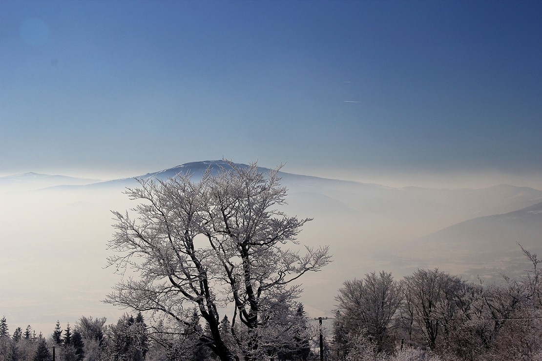 Pozostałe, zimowe klimaty - .