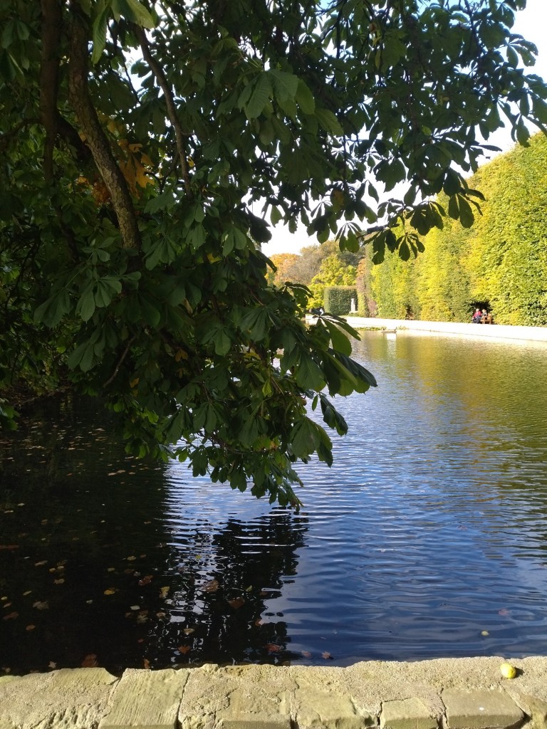 Rośliny, Jesienna galeria..... - ..................i kasztanowiec nad wodą...........