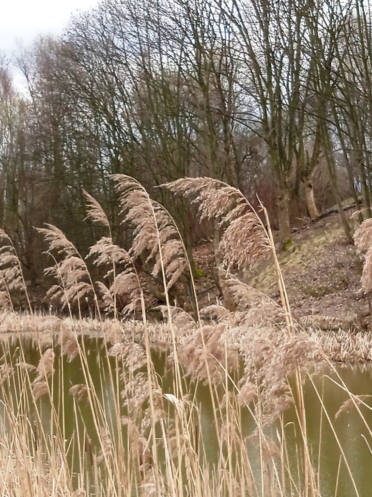 Pozostałe, WIOSNA W PARKU