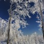 Pozostałe, zimowe klimaty - .