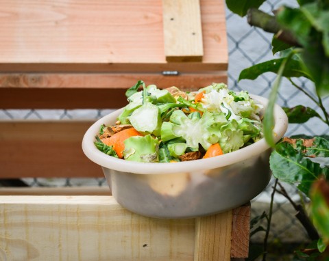 Zimowy kompost: utrzymanie ciepła i aktywności biologicznej pryzmy