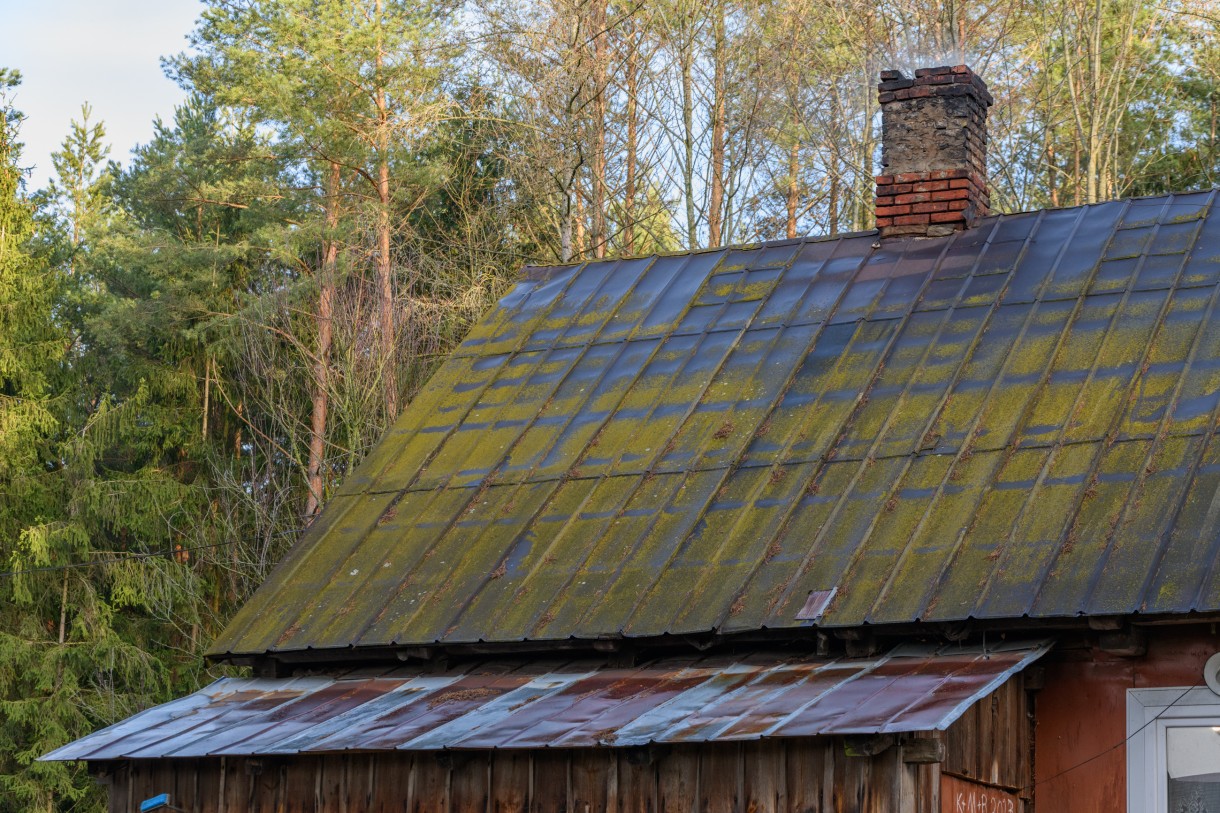 Nasz Nowy Dom, Nasz nowy dom - odcinek 282. Jabłońskie