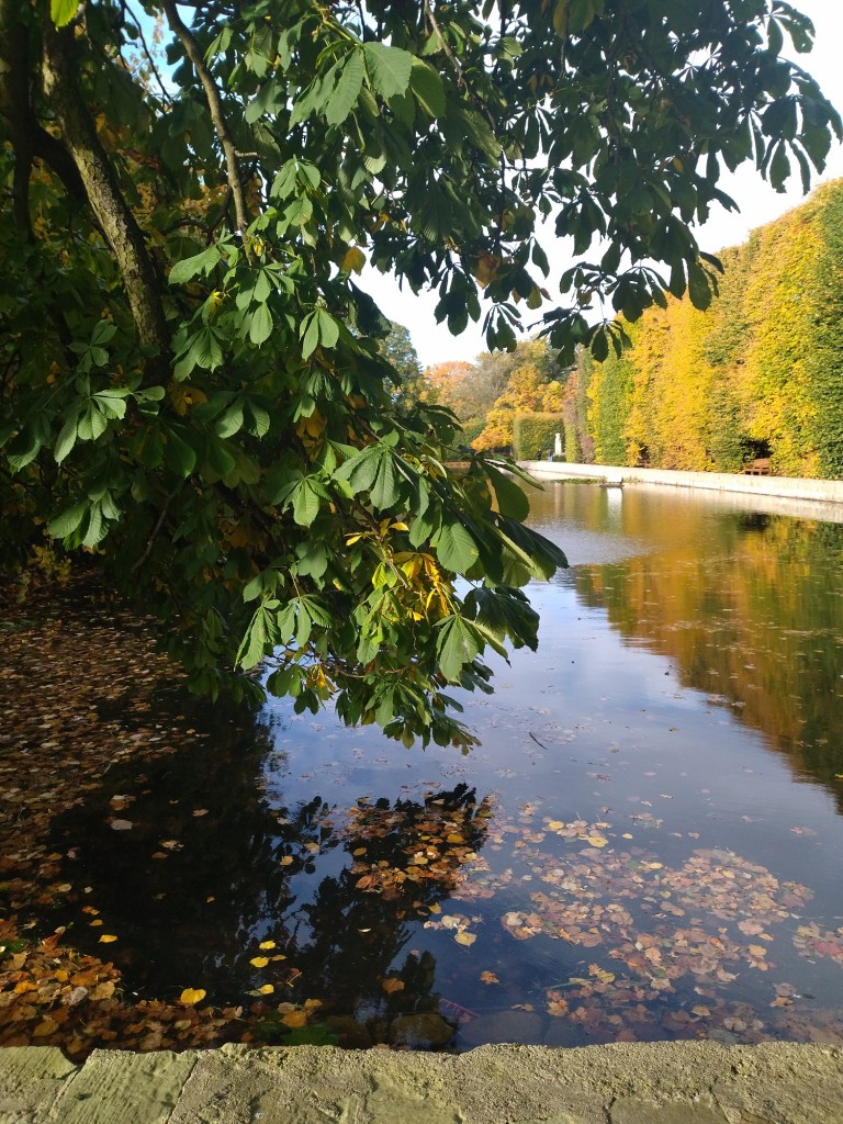 Rośliny, Jesienna galeria..... - ..................i kasztanowiec nad stawem...............